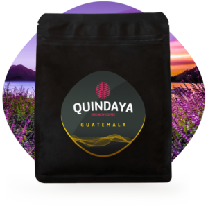 Café de especialidad Guatemala