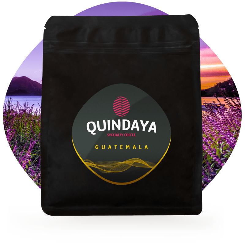 Café de especialidad Guatemala