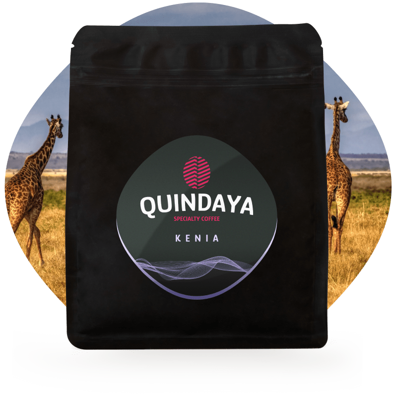 Café de especialidad Kenia